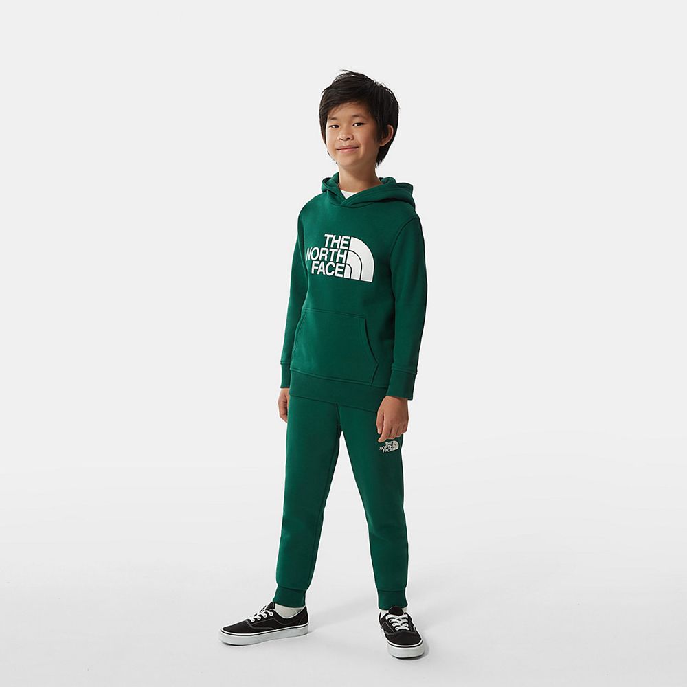 The North Face Pants Youth Australia - The North Face Fleece Green / White (SPR-084379)